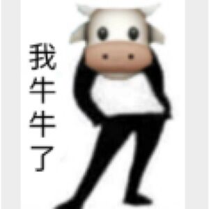 New UGG Tazz Tasman Sandals Women Slipper